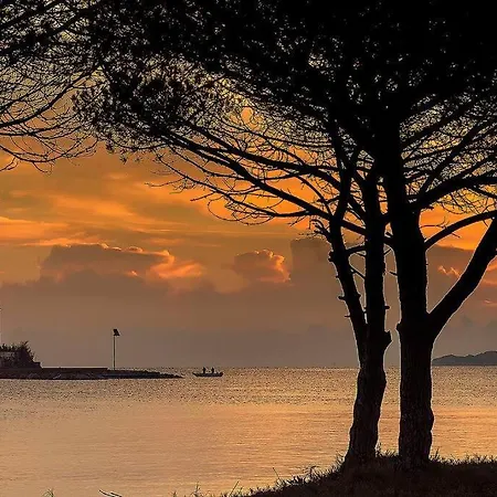 Sardinian Cottage, 150m From The Sea, Private Garden Olbia